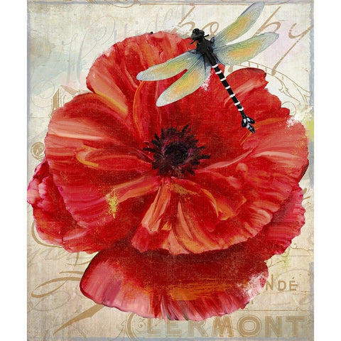 Le Pavot Dragonfly Black Modern Wood Framed Art Print with Double Matting by Sasha