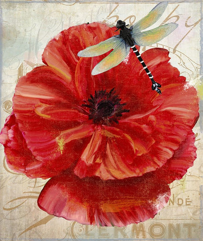 Le Pavot Dragonfly White Modern Wood Framed Art Print with Double Matting by Sasha