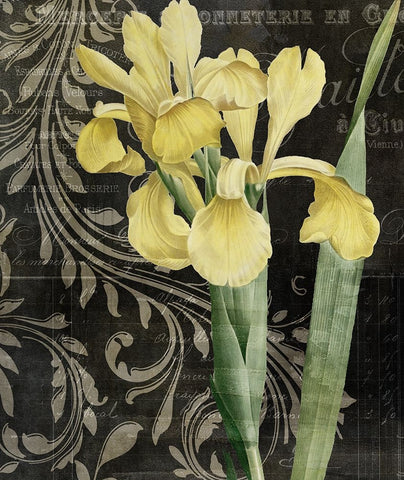 Ode To Yellow Black Ornate Wood Framed Art Print with Double Matting by Sasha