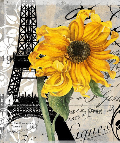 Paris Blanc Black Ornate Wood Framed Art Print with Double Matting by Sasha