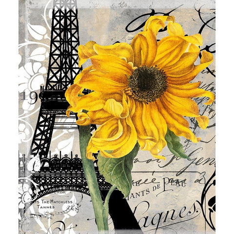 Paris Blanc Black Modern Wood Framed Art Print by Sasha