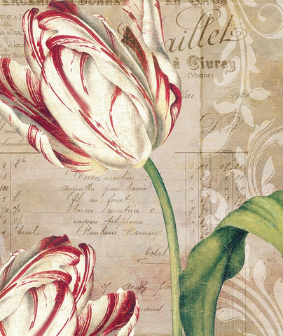 Tulips Black Ornate Wood Framed Art Print with Double Matting by Sasha