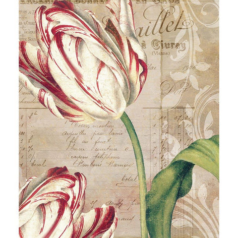 Tulips Gold Ornate Wood Framed Art Print with Double Matting by Sasha