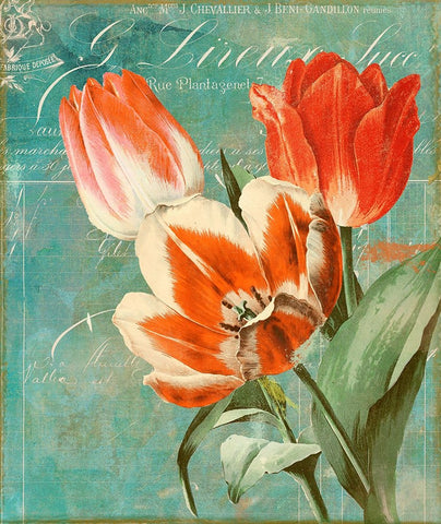 Tulips Ablaze II White Modern Wood Framed Art Print with Double Matting by Sasha