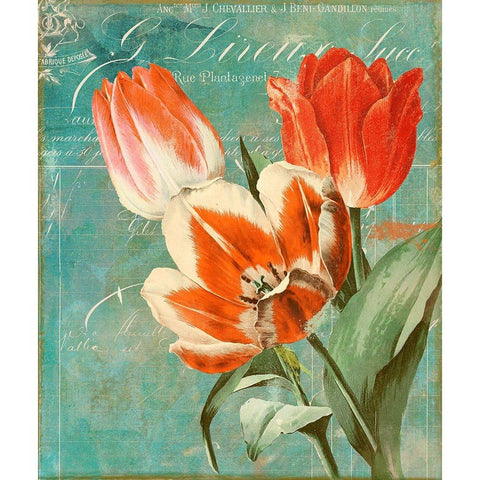 Tulips Ablaze II Black Modern Wood Framed Art Print by Sasha