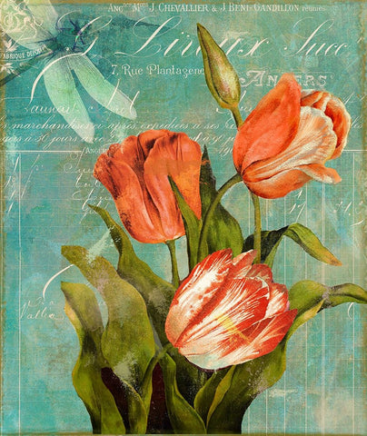 Tulips Ablaze III Black Ornate Wood Framed Art Print with Double Matting by Sasha