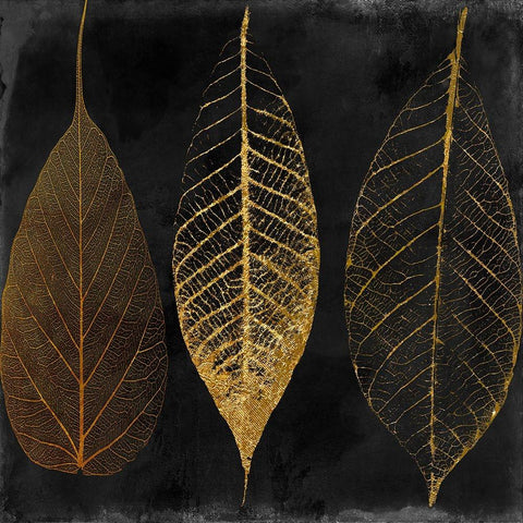 Fallen Gold I Black Modern Wood Framed Art Print with Double Matting by Sasha