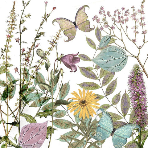 Botanique Refresh 1 Black Ornate Wood Framed Art Print with Double Matting by Sasha