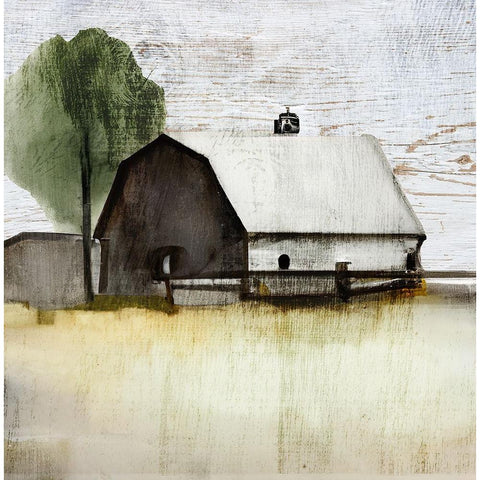 The White Barn I Black Modern Wood Framed Art Print with Double Matting by Sasha