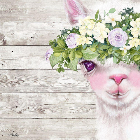 Peek a Boo Sweet Llama White Modern Wood Framed Art Print with Double Matting by Sheena Pike Art