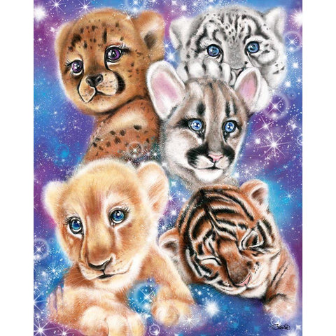 Galaxy Wild Kitten Cubs Black Modern Wood Framed Art Print with Double Matting by Sheena Pike Art