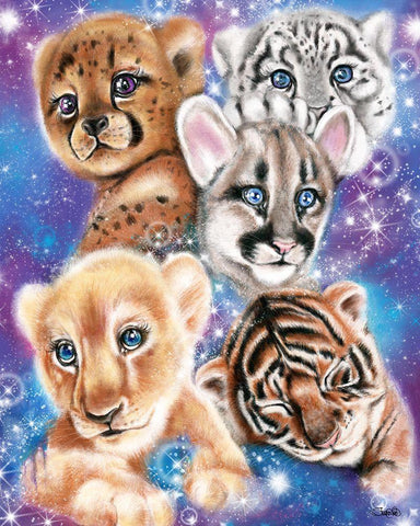 Galaxy Wild Kitten Cubs White Modern Wood Framed Art Print with Double Matting by Sheena Pike Art