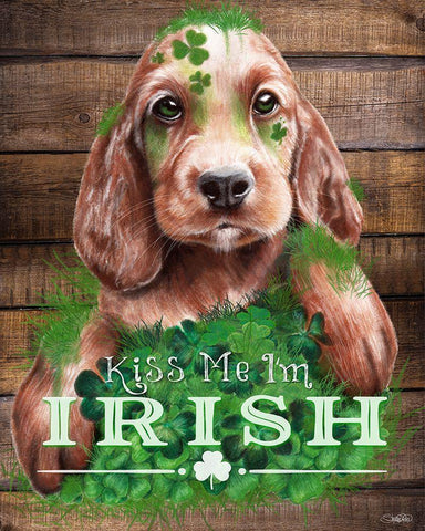 Kiss me Im Irish Puppy White Modern Wood Framed Art Print with Double Matting by Sheena Pike Art
