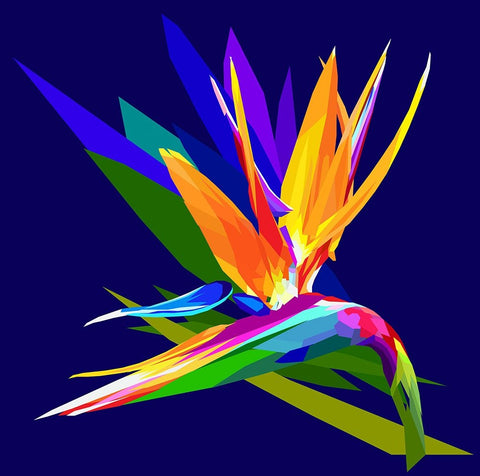 Bird Of Paradise White Modern Wood Framed Art Print with Double Matting by Pansanit, Surapol