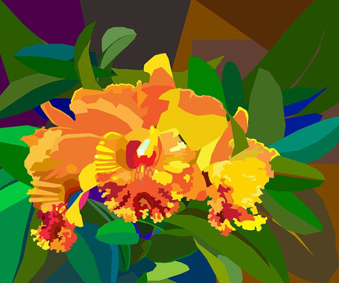Cattleya Orchid 2 White Modern Wood Framed Art Print with Double Matting by Pansanit, Surapol