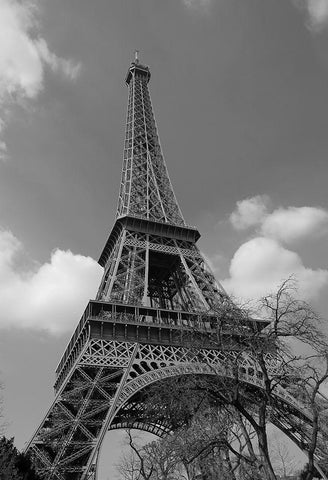 Eiffel To The Sky Black Ornate Wood Framed Art Print with Double Matting by Susan Vizvary Photography