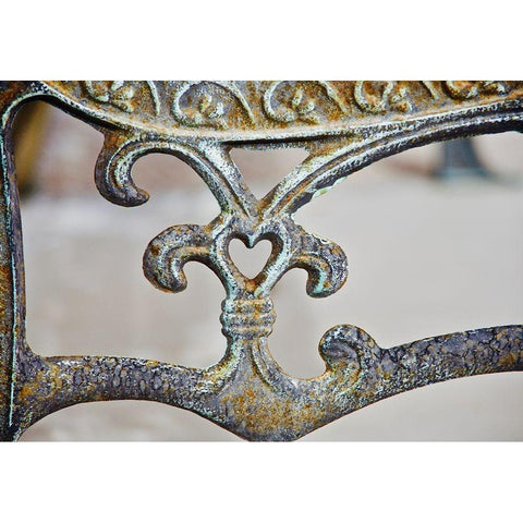 Rusted Heart  Gold Ornate Wood Framed Art Print with Double Matting by Susan Vizvary Photography