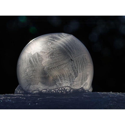 Frozen Bubble Gold Ornate Wood Framed Art Print with Double Matting by Bonin, Suzanne