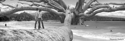 Nut Tree Black Ornate Wood Framed Art Print with Double Matting by Barbey, Thomas