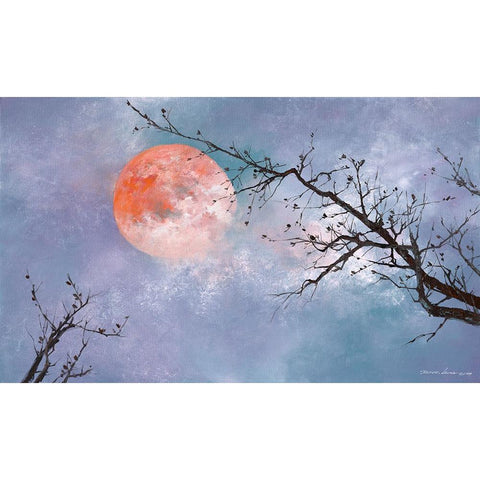 Under the Moon Black Modern Wood Framed Art Print with Double Matting by Leung, Thomas