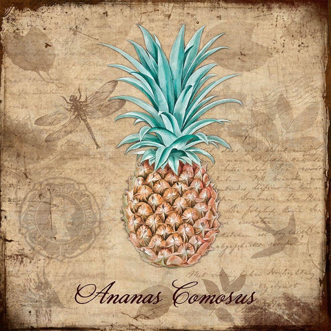 Ananas Comosus Black Ornate Wood Framed Art Print with Double Matting by Lavoie, Tina