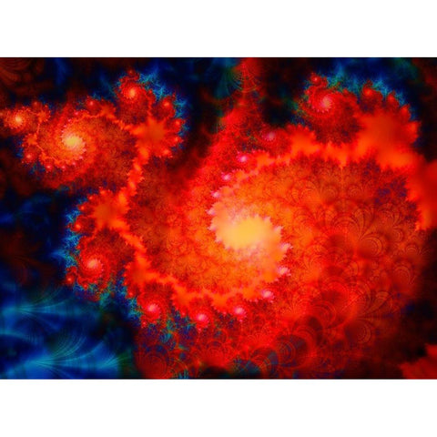 Cosmos Black Modern Wood Framed Art Print with Double Matting by Lavoie, Tina