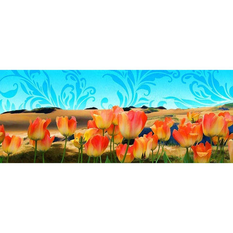 Painted Sky Panorama Black Modern Wood Framed Art Print by Lavoie, Tina