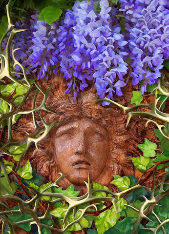 Secret Garden White Modern Wood Framed Art Print with Double Matting by Lavoie, Tina