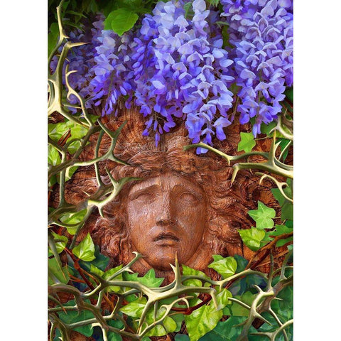Secret Garden Black Modern Wood Framed Art Print by Lavoie, Tina