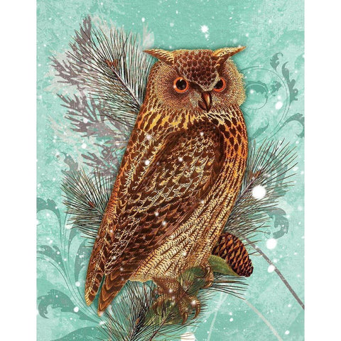 Snowy Owl Black Modern Wood Framed Art Print with Double Matting by Lavoie, Tina