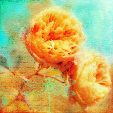 Summer Romance White Modern Wood Framed Art Print by Lavoie, Tina