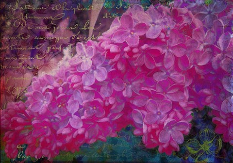 Vintage Lilacs White Modern Wood Framed Art Print with Double Matting by Lavoie, Tina