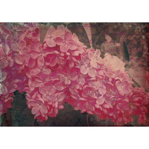 Vintage Lilacs Deux Gold Ornate Wood Framed Art Print with Double Matting by Lavoie, Tina