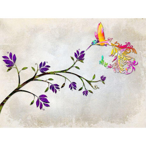 Hummingbird of Paradise Black Modern Wood Framed Art Print with Double Matting by Lavoie, Tina