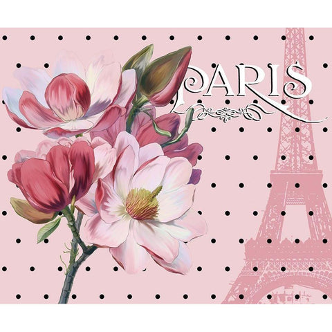 Paris Magnolias I Black Modern Wood Framed Art Print with Double Matting by Lavoie, Tina