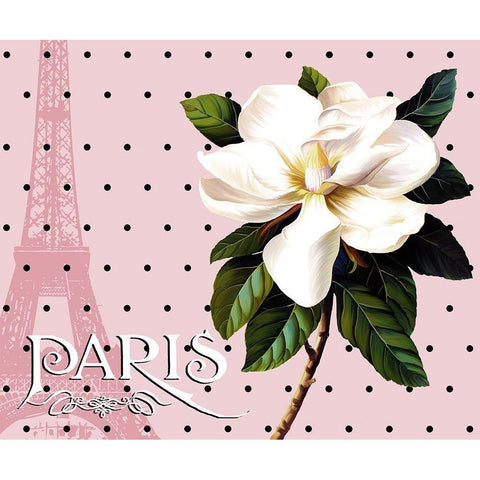 Paris Magnolias II Black Modern Wood Framed Art Print with Double Matting by Lavoie, Tina