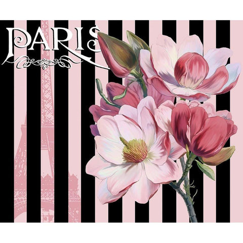 Paris Magnolias III Black Modern Wood Framed Art Print with Double Matting by Lavoie, Tina