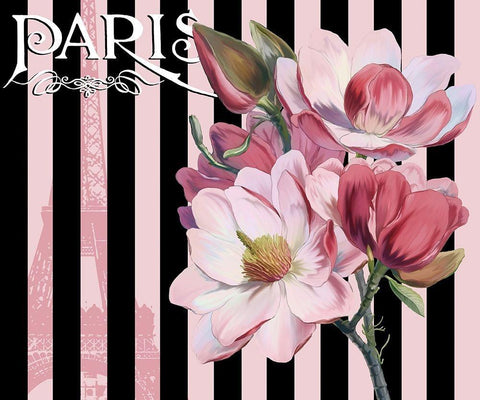 Paris Magnolias III White Modern Wood Framed Art Print with Double Matting by Lavoie, Tina