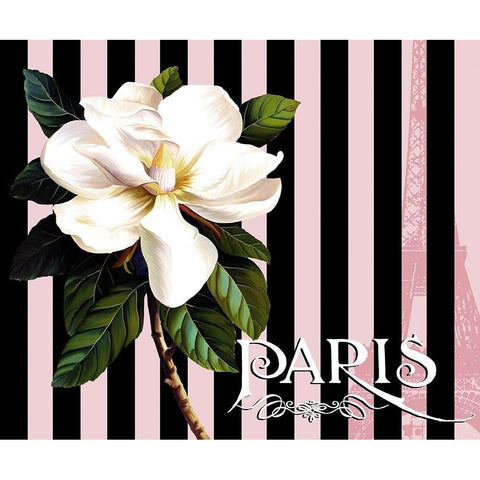 Paris Magnolias IV Black Modern Wood Framed Art Print with Double Matting by Lavoie, Tina