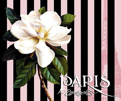 Paris Magnolias IV Black Ornate Wood Framed Art Print with Double Matting by Lavoie, Tina