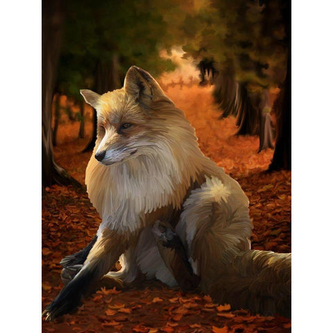 Fall Fox Black Modern Wood Framed Art Print by Lavoie, Tina