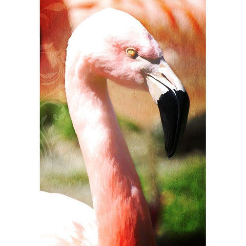 Pink Flamingo I White Modern Wood Framed Art Print by Lavoie, Tina