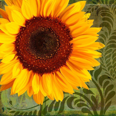 Summer Sun I Black Modern Wood Framed Art Print by Lavoie, Tina