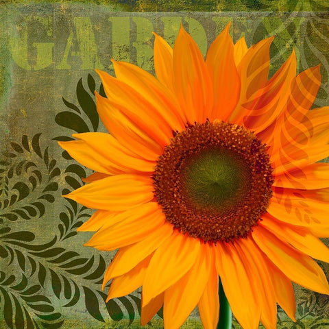 Summer Sun II Black Modern Wood Framed Art Print by Lavoie, Tina