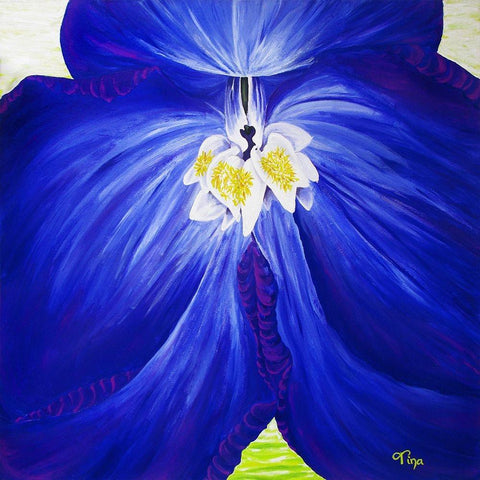 Delphinium Black Ornate Wood Framed Art Print with Double Matting by Lavoie, Tina