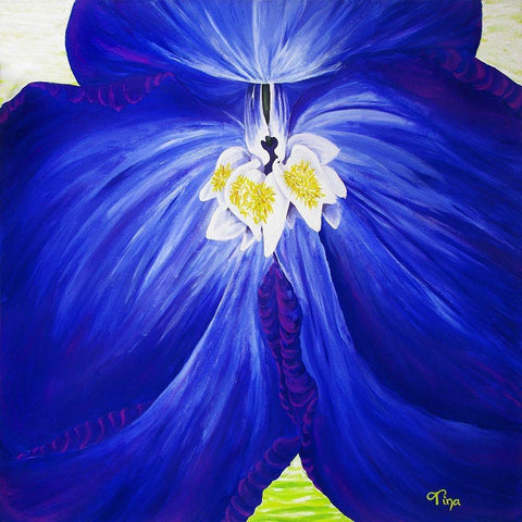 Delphinium White Modern Wood Framed Art Print by Lavoie, Tina