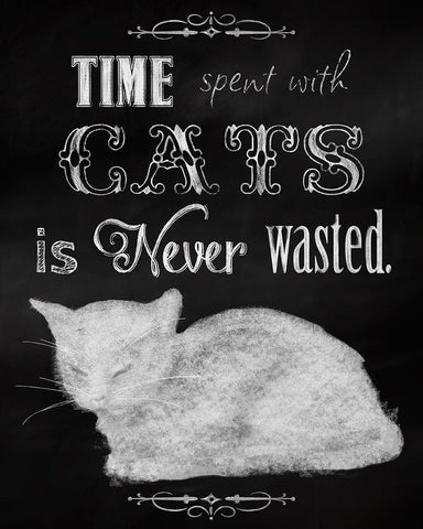 Time Spent With Cats White Modern Wood Framed Art Print with Double Matting by Lavoie, Tina