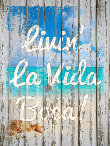 Livin La Vida Boca Black Ornate Wood Framed Art Print with Double Matting by Lavoie, Tina