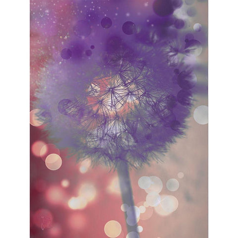Wishful Thinking I Black Modern Wood Framed Art Print by Lavoie, Tina