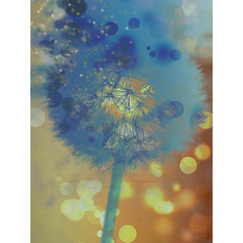 Wishful Thinking II Black Modern Wood Framed Art Print with Double Matting by Lavoie, Tina